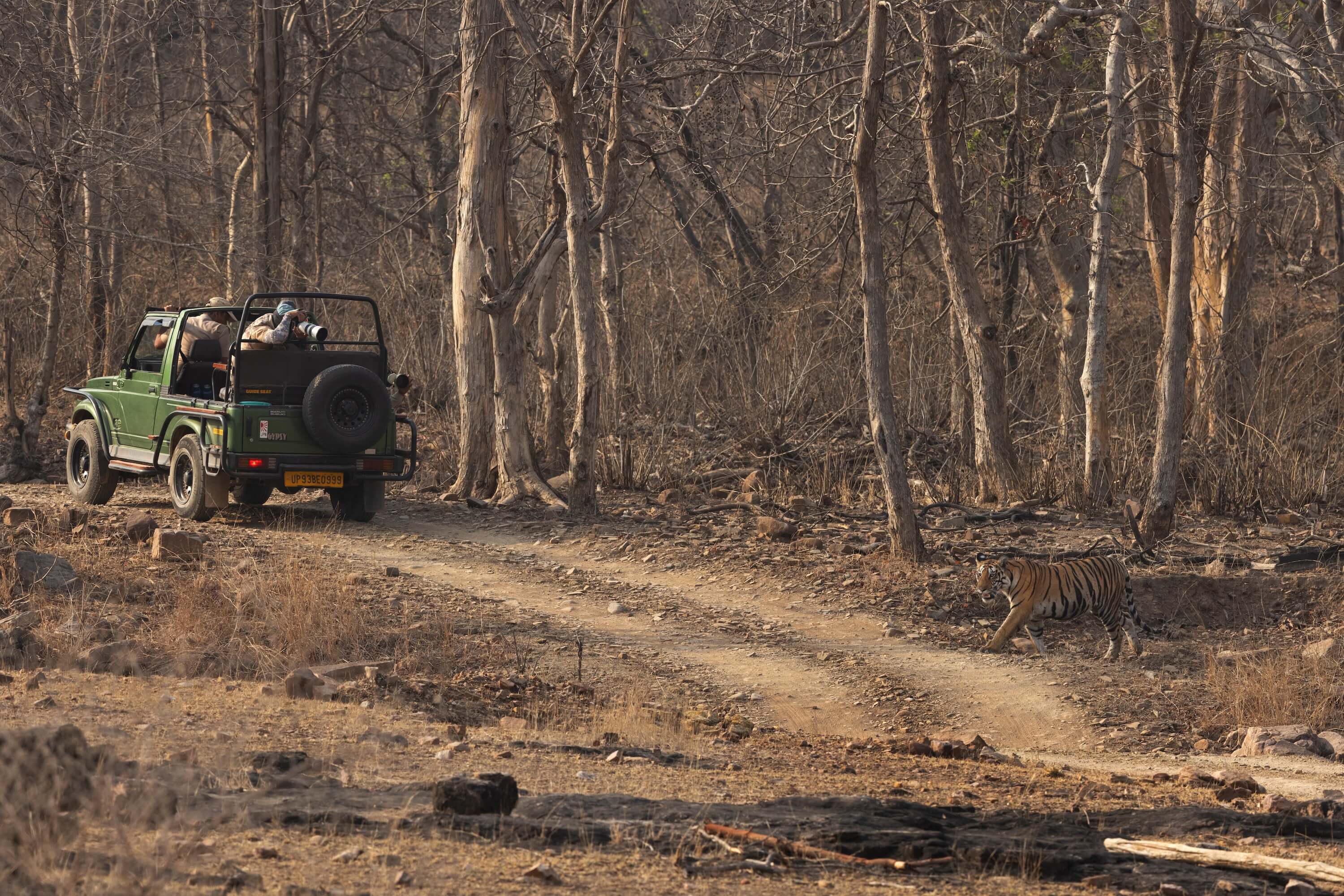 jeep off roading